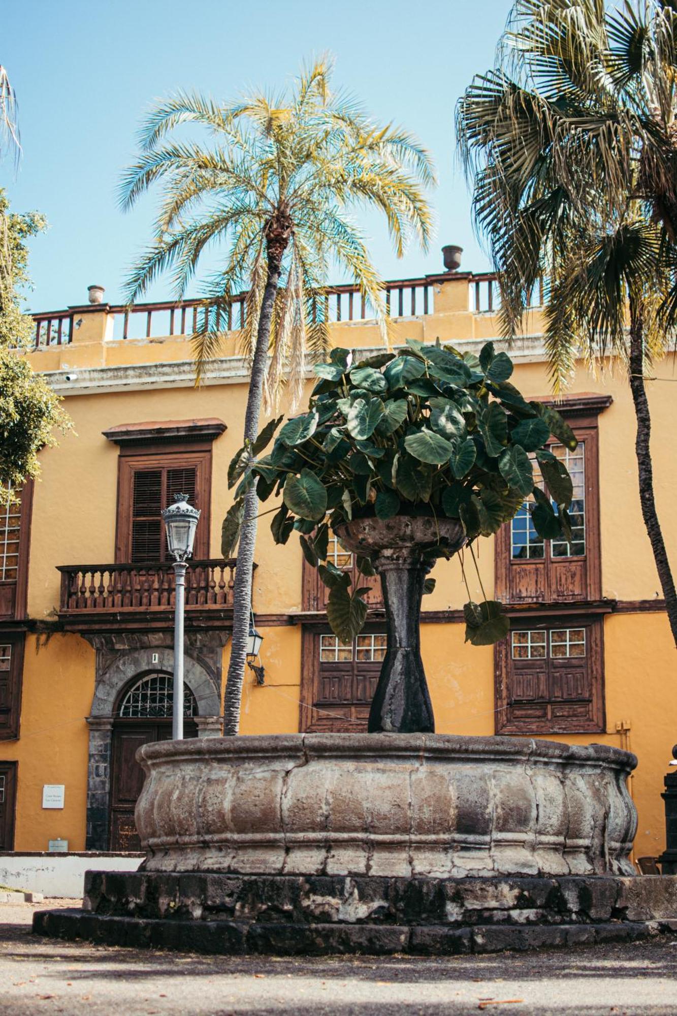 Las Casitas Del Bebedero Icod De Los Vinos Exterior foto